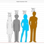 Ascending Heights with Height Compare Tool on Jushify thumb